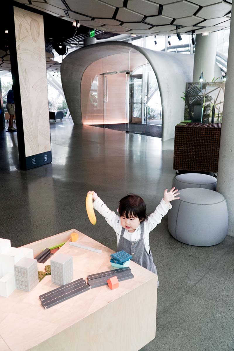 Visiting Seattle Amazon Spheres with Young Toddler
